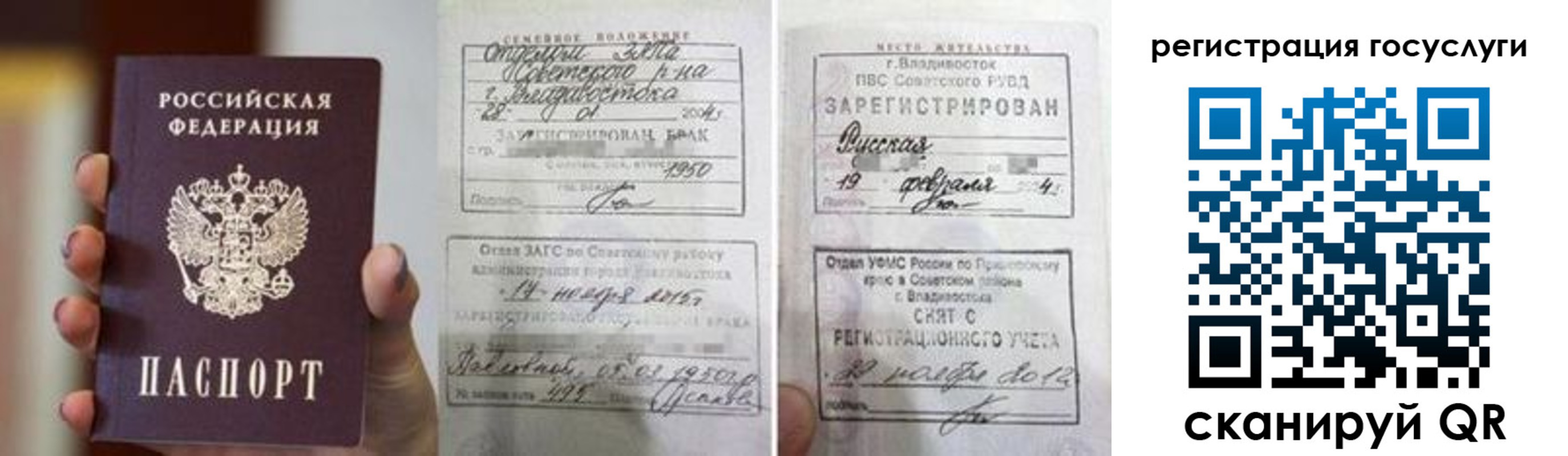прописка для школы в Кольчугино