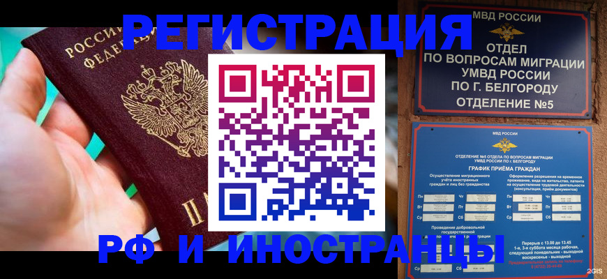 форма 3 в Кольчугино
